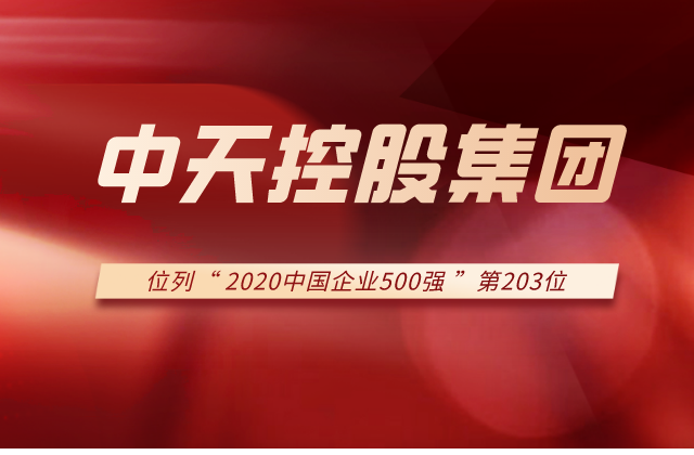 wnsr威尼斯集团列2020中国企业500强第203位！